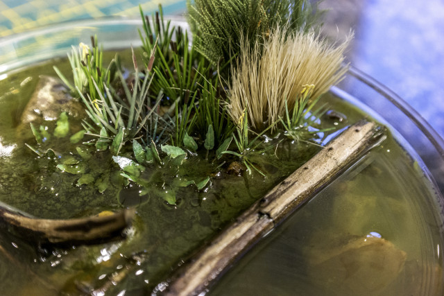 How to Model Bulrushes using Busch plastic kits - Kathy Millatt Modelling