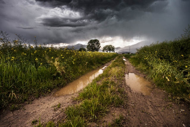Muddy Road