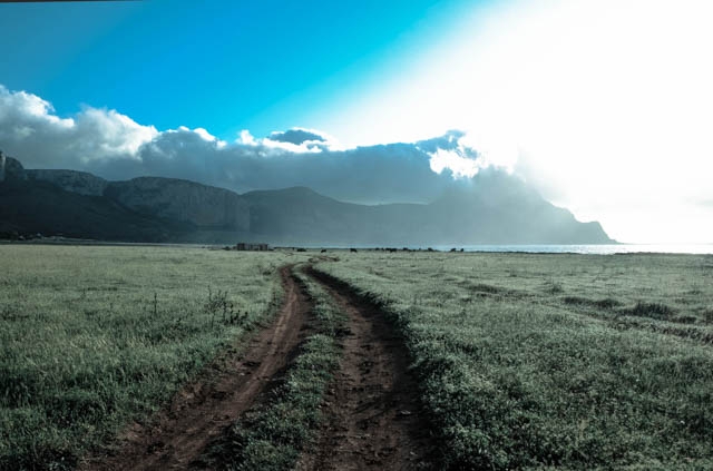 Road through a field