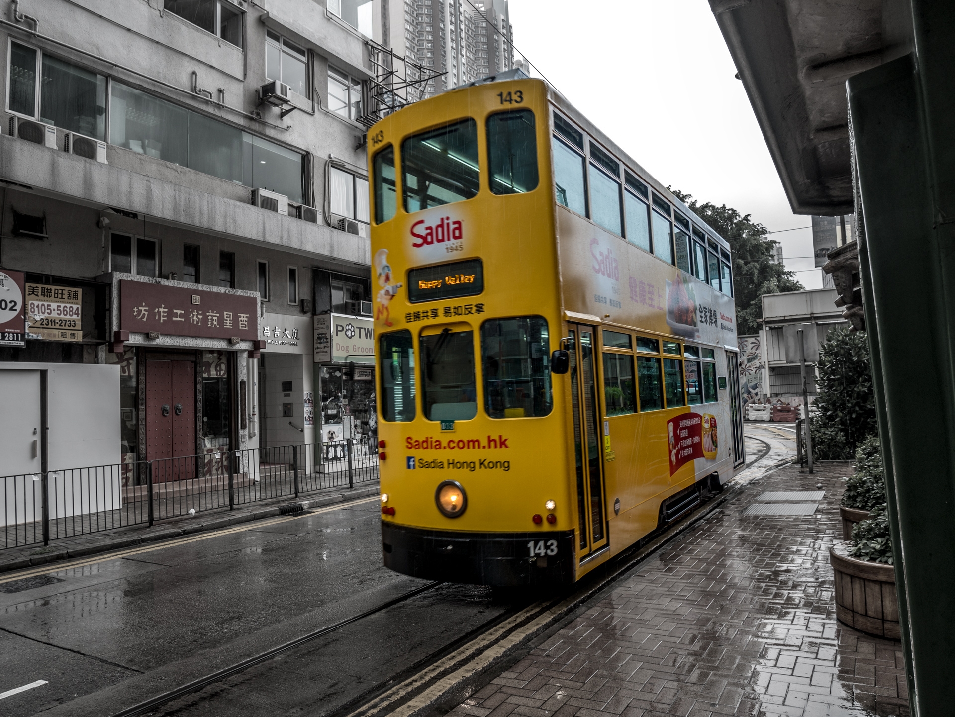 Hong Kong Tram