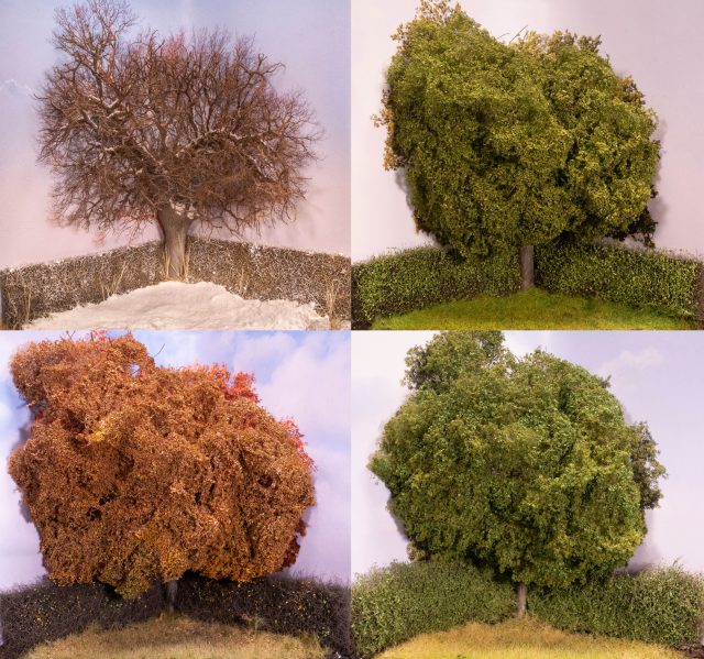 4 Seasons Oak