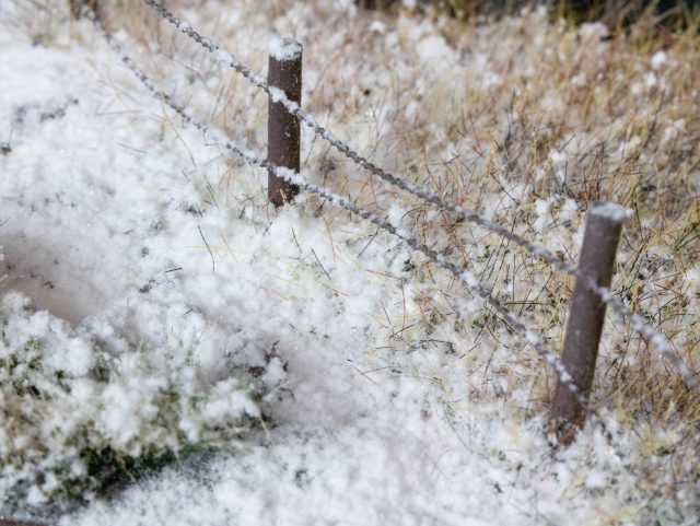 Winter