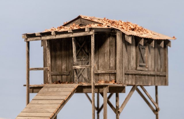 Swamp Hut-100